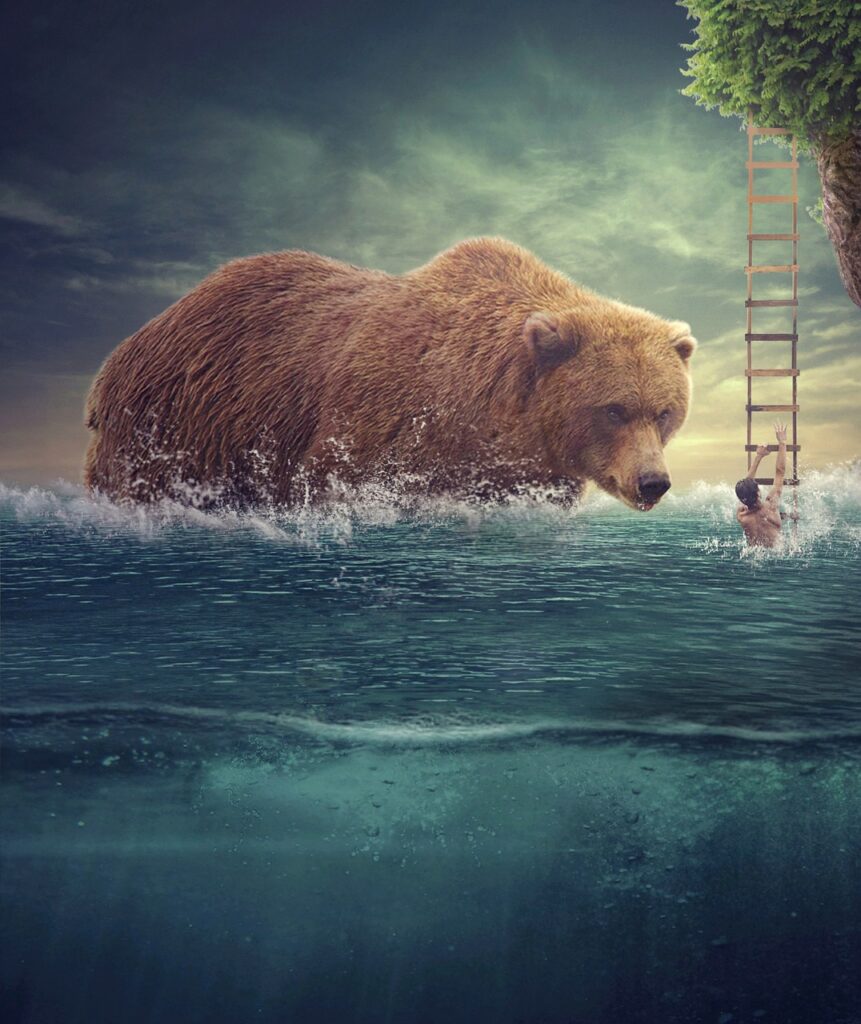 sea, bear, surreal